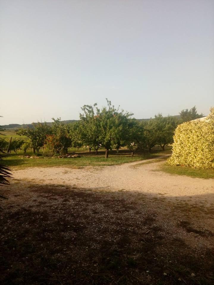 Residenza Agrituristica Santa Lucia Con Piscina Alghero Exterior foto