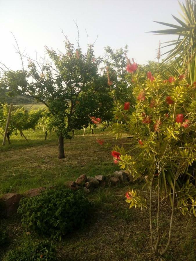 Residenza Agrituristica Santa Lucia Con Piscina Alghero Exterior foto